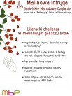 Literacki challenge "W malinowym gąszczu słów" - Zdjęcie nr 1