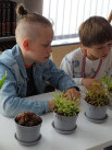 Juniwersytet: Rośliny mięsożerne - Zdjęcie nr 13