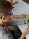 Juniwersytet: Rośliny mięsożerne - Zdjęcie nr 3