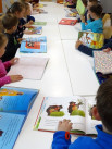 Akcje: Ogólnopolskie Urodziny Książkowego Misia w Oddziale dla Dzieci i Młodzieży - Zdjęcie nr 18
